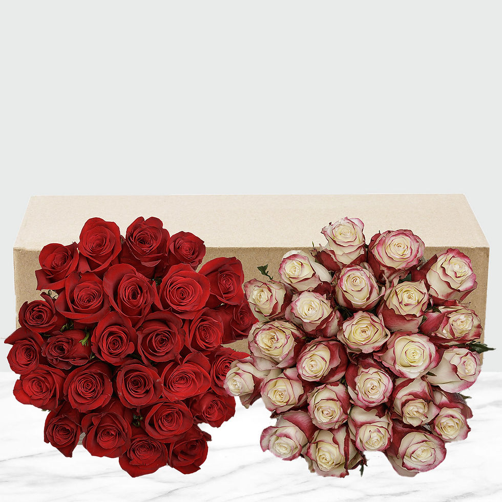 Thumbnail: 50-stem Bi-Color Roses