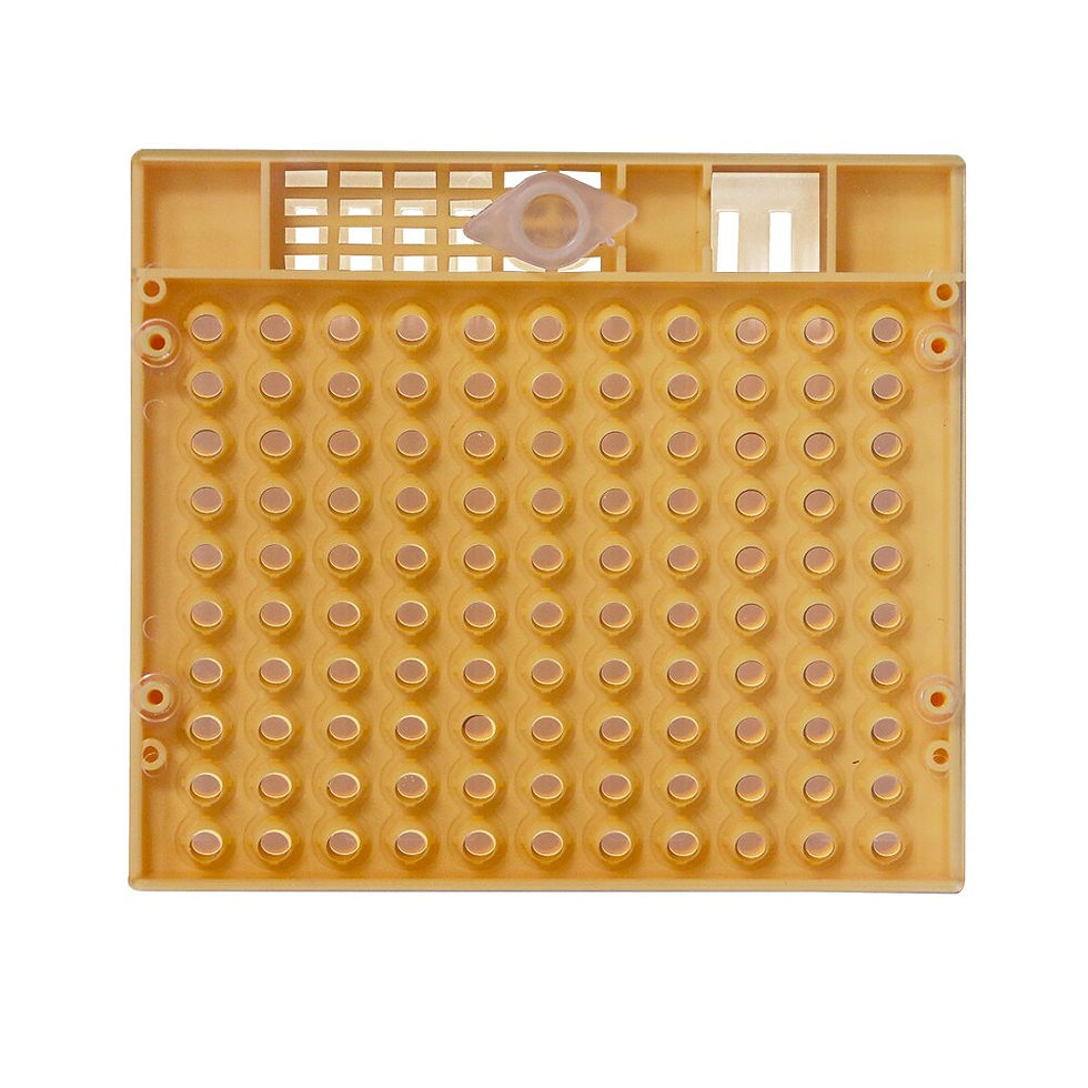 Thumbnail: Complete queen rearing system kit king cultivating box plastic bee bees cells