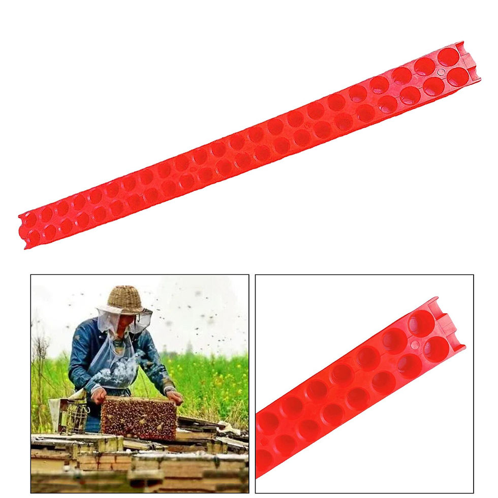 Thumbnail: 46-Hole Moving Transportation Strip for Queen Bee Transporting Isolator Hive