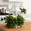 Thumbnail: Wedding Greenery Pack with Lanterns