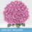 Thumbnail: 50-stem Lavender Roses
