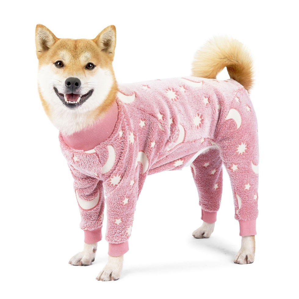 Indexkép: Flannel Dog Pajamas Jumpsuit Dogs Pajamas For Medium Large Dogs Bone Moon Patte