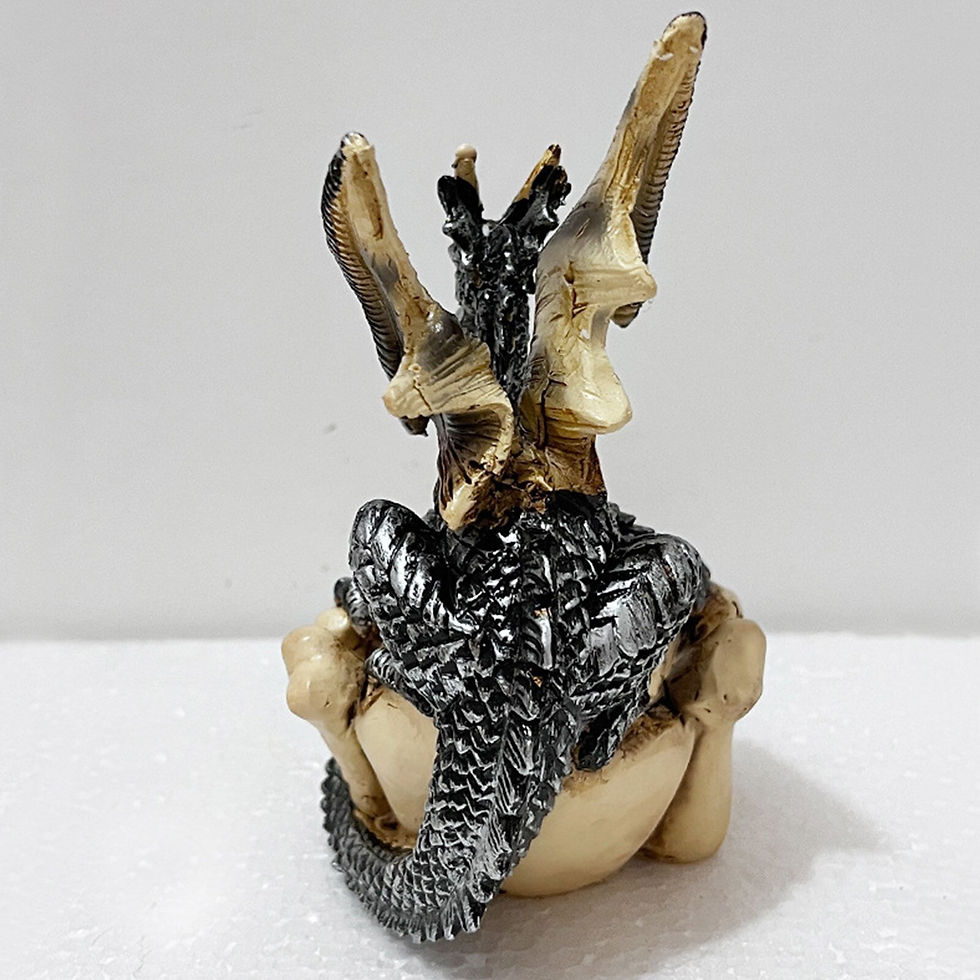 サムネイル： Resin Dragon Storage Decor Dinosaur Skull Decorative Figurines Statue Ornament