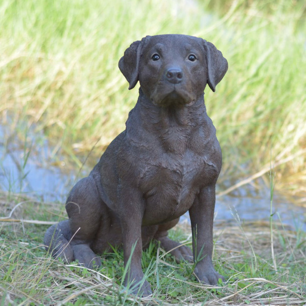 Miniatyrbild: HI-LINE GIFT LTD. BROWN LABRADOR RETRIEVER SITTING  Garden Decoration Outdoor