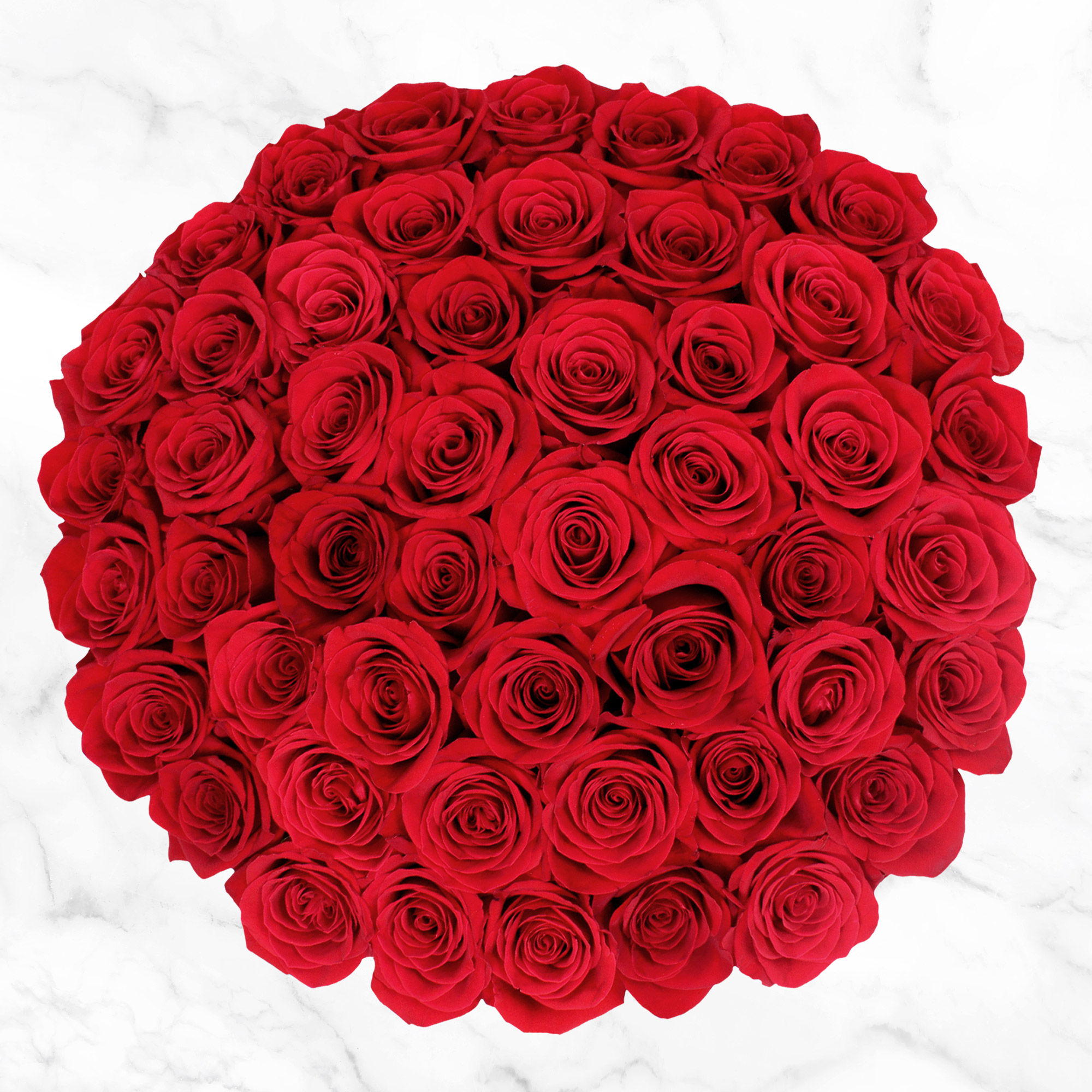 Pre-Order Valentine's Day 50 Stem Red Roses