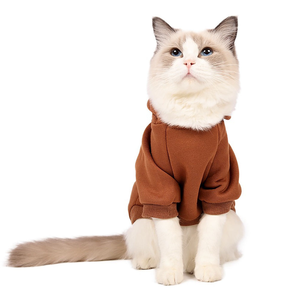Thumbnail: 1Pieces Dog Sweater Winter Pet Clothes Dog Outfit Soft Pet Clothes for Small Do