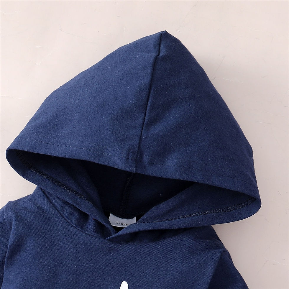 縮圖：Spring 0-24 Months Newborn Baby Boy 2PCS Clothes Set Long Sleeve Hoodie Jumpsui
