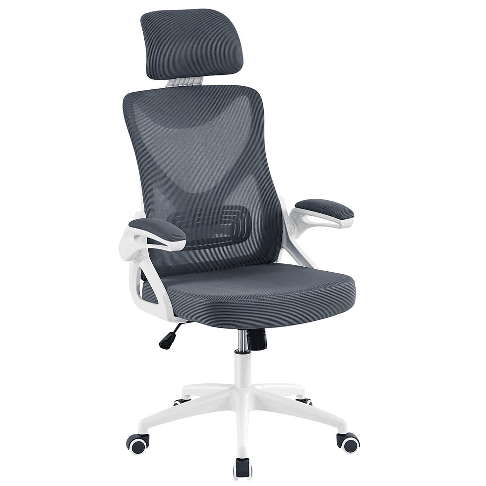 Miniatyrbilde: High Back Ergonomic Mesh Office Chair with Adjustable Padded Headrest, White/Bl