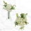 Thumbnail: Soft Grace Wedding Package