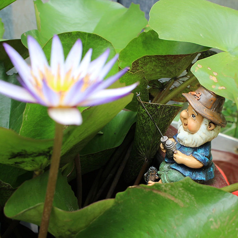 Thumbnail: Garden Gnome Statue Resin Fishing Dwarf Elf Figurines Naughty Funny Garden Stat