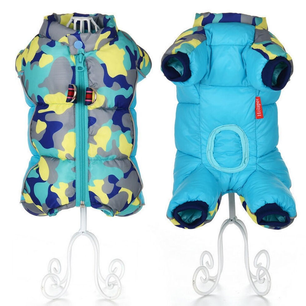 Thumbnail: Pet Dog Clothes Winter Down Jacket For Small Dogs Waterproof Puppy Pet Coat Chi