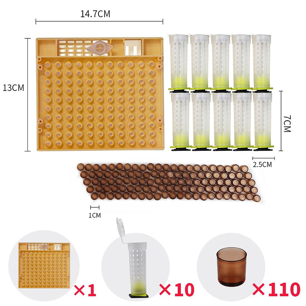 Thumbnail: Complete queen rearing system kit king cultivating box plastic bee bees cells