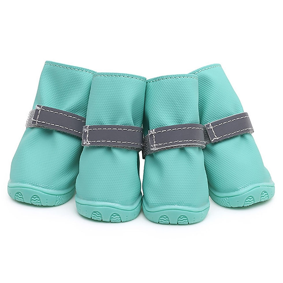 Thumbnail: Waterproof Dog Shoes for Small Dogs Shoes Anti-slip Reflective Strappy Pet Dog