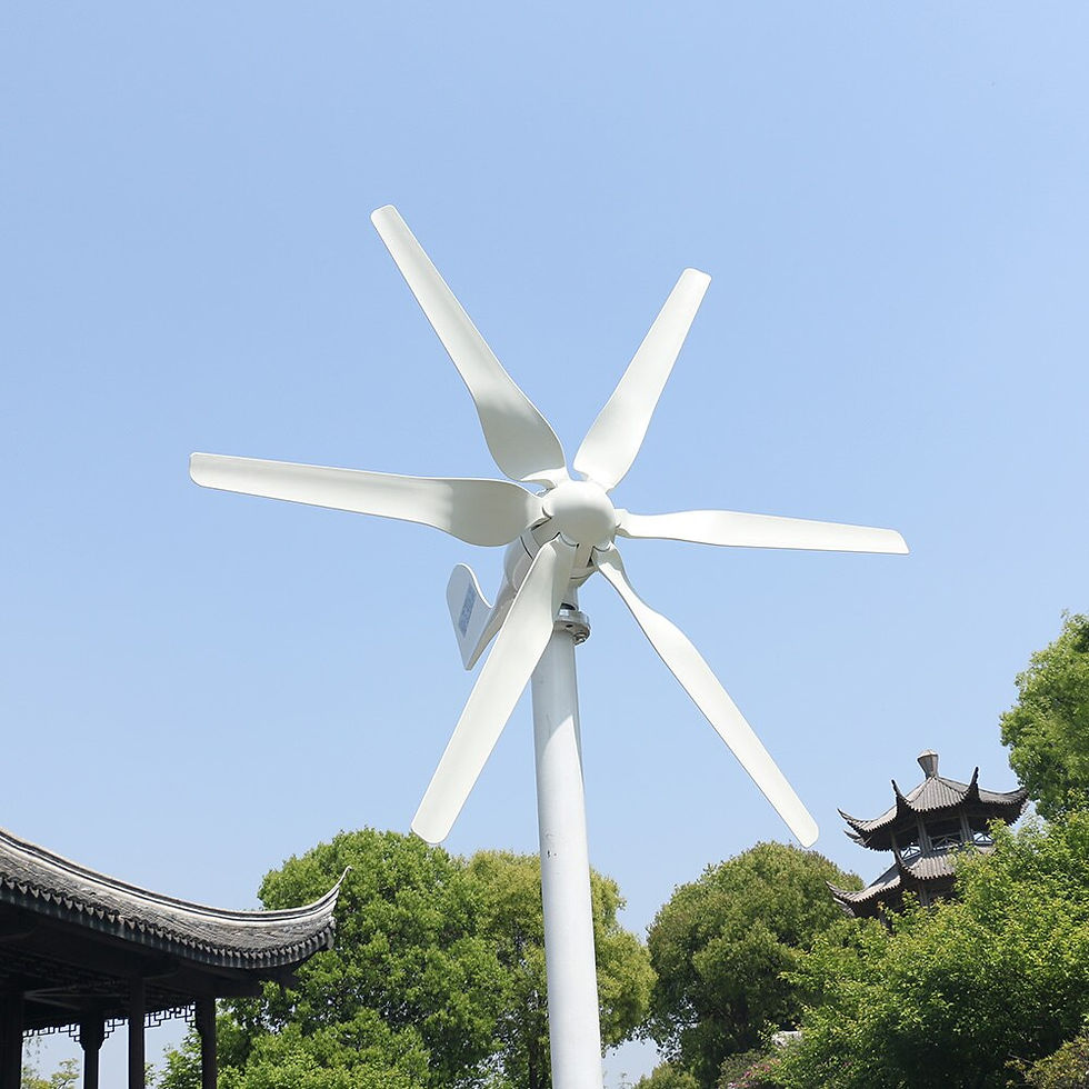 Thumbnail: Free Energy Windmill With MPPT Controller 800W 1000W Horizontal Wind