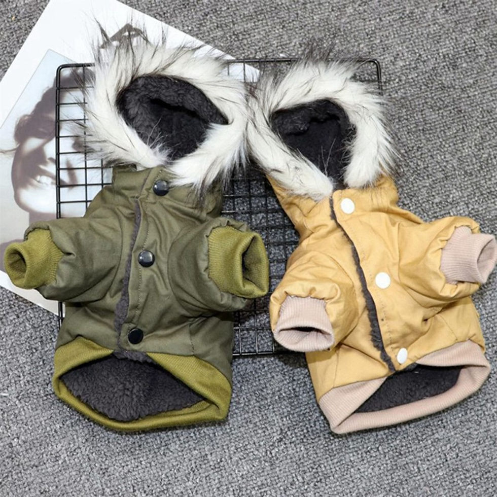 サムネイル： Dog Hooded Coat Winter Pet Dog Jacket Warm Dog Clothes For Small Medium Big Dog