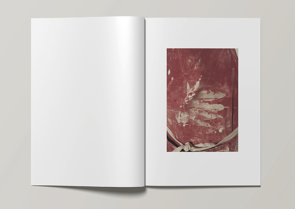 edition_potographique7.png