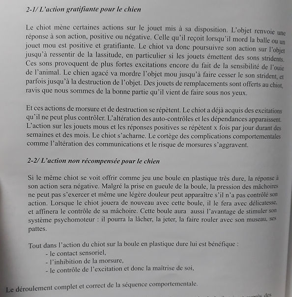 type_de_jouet_à_choisir.jpg