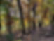 7345A29E-C1A6-458C-B881-3C53945346B0_1_105_c.jpeg
