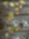 779C8824-A192-40EF-9545-E0F5E15862D7_1_102_a.jpeg