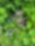 30E7516D-DBC5-41C3-8EAF-035D66160A54_1_105_c.jpeg