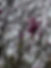 9F64F2E3-79A8-48E9-AC26-B221D38DBE40_1_105_c.jpeg