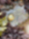 43B8A46A-F8FA-49DF-B680-CF30027B9947_1_105_c.jpeg