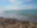 2C62C975-9603-4D93-A709-002F39102E66_1_105_c.jpeg