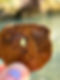 4CAFBC57-9980-4B2E-91AB-7F6E9DB09AB4_1_105_c.jpeg