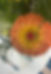 12F64854-5E34-466F-B89A-523F5E83A61A_1_105_c_edited.jpg
