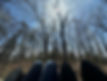 08D7B2E5-DF33-44DB-8F3B-35A85EBEA194_1_105_c.jpeg