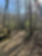 9336EBB2-C62F-40F2-8B6C-23672E667823_1_105_c.jpeg