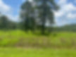EFD87173-1CF6-4C9D-8215-427F07D0C4FF_1_105_c.jpeg