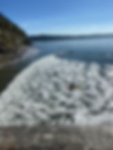 B7D2682A-D43E-4CC3-868E-C0B9FCDB0586_1_105_c.jpeg