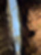 1F248BBC-F43F-4CD1-9737-C5DCA5A99957_1_105_c.jpeg