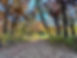 B59D3597-3A7F-4DC0-8D73-83F5A5A4E99B_1_105_c.jpeg