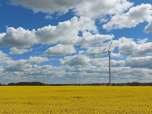 Sępopol maj 2022.jpg