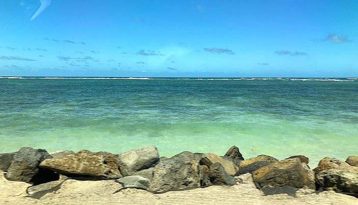 Beach rocks.JPG