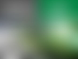 COMO O DESCARTE INADEQUADO DE RESÍDUOS PODE AFETAR O MEIO AMBIENTE