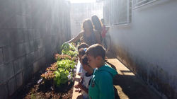 13022190_10209508220126892_1548898333_n