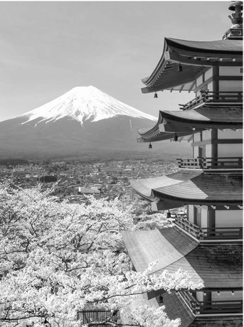 japon.webp