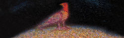 bird