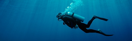 Scuba Diving in Isla Mujeres by Ceviche Tours, QRoo Mexico