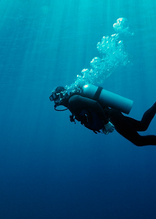 Underwater Scuba Diving