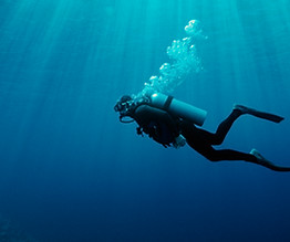 scuba diver