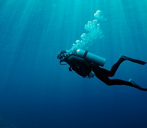 Underwater Scuba Diving