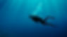 Underwater Navigation Certification