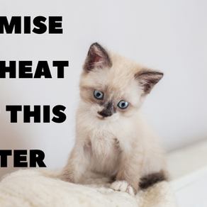 BEST WAY TO USE AND MAXIMISE HEAT PUMP DURING WINTER