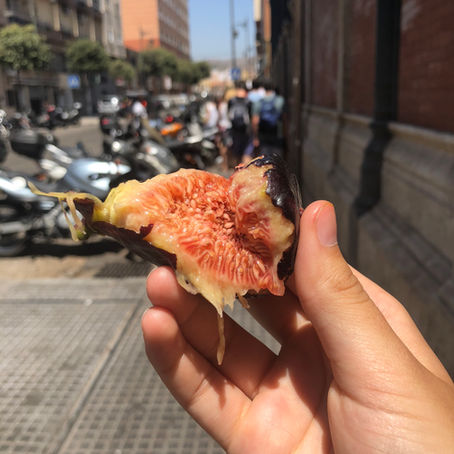 Meatless Travel