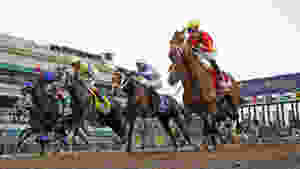 Start of the Florida Derby horse race at gulfstream park