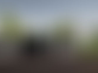 Immersion dans votre futur projet aménagement paysager